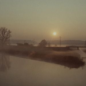 Fotoğraf Köpeğim Killer