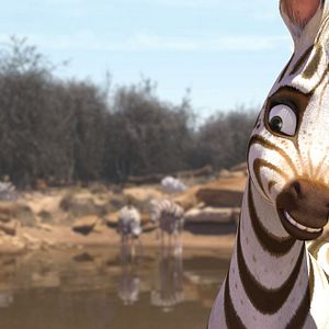 Fotoğraf Cesur Zebra