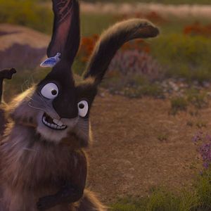 Fotoğraf Cesur Zebra