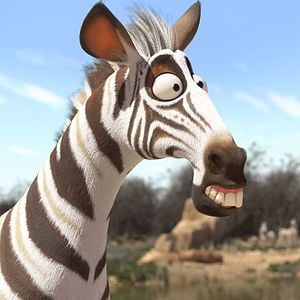 Fotoğraf Cesur Zebra