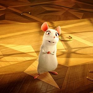 Fotoğraf Büyüler Evi: Sihirbaz Kedi