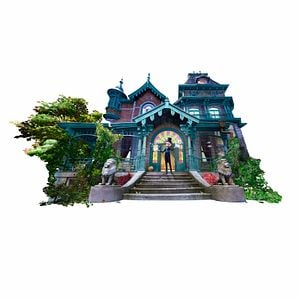 Fotoğraf Büyüler Evi: Sihirbaz Kedi