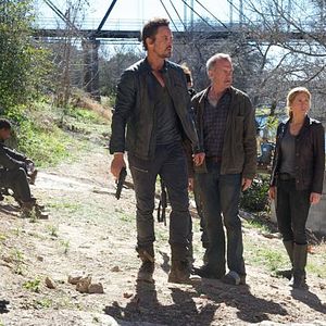 Fotoğraf Stephen Collins