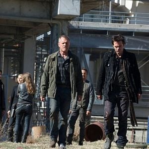 Fotoğraf Stephen Collins