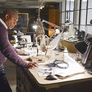 Fotoğraf Joe Morton