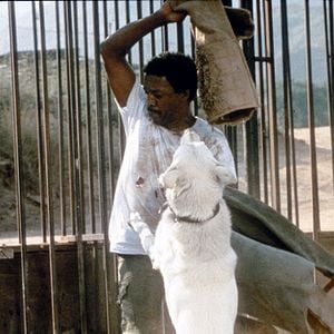 Fotoğraf Paul Winfield