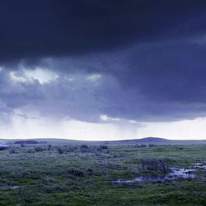 Fotoğraf Korku Yolu