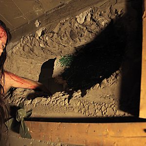 Fotoğraf Megan Davis