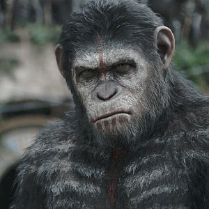 Fotoğraf Maymunlar Cehennemi: Şafak Vakti