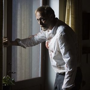 Fotoğraf Hayvan Düşü