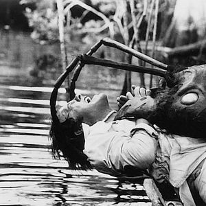 Fotoğraf Empire of the Ants