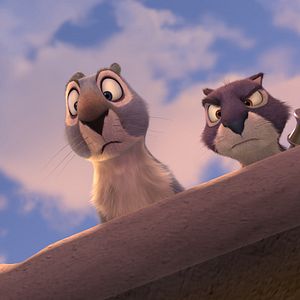 Fotoğraf Fındık İşi