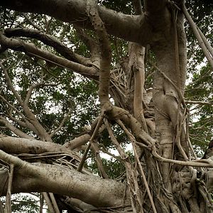 Fotoğraf Nijirô Murakami