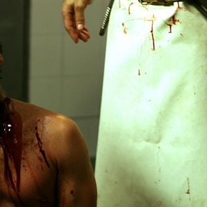 Fotoğraf Omnívoros