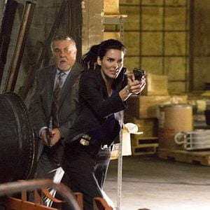 Fotoğraf Angie Harmon