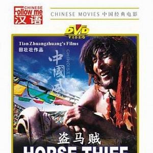 Fotoğraf The Horse Thief