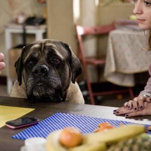 Fotoğraf En Famille