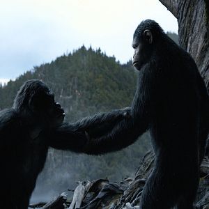 Fotoğraf Maymunlar Cehennemi: Şafak Vakti