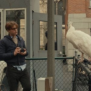 Fotoğraf Astrid Bergès-Frisbey