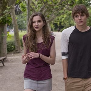 Fotoğraf Merlin Rose