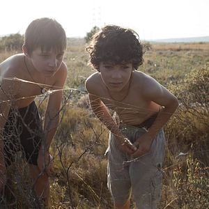 Fotoğraf Vahşi Yaşam