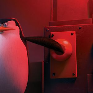 Fotoğraf Madagaskar Penguenleri