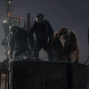 Fotoğraf Maymunlar Cehennemi: Şafak Vakti