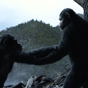 Fotoğraf Maymunlar Cehennemi: Şafak Vakti