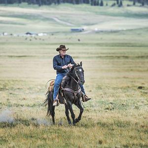 Fotoğraf Robert Taylor (II)