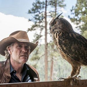 Fotoğraf Robert Taylor (II)