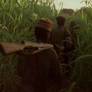 Fotoğraf Concerning Violence