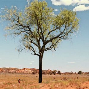 Fotoğraf Tanrılarla Konuşmalar