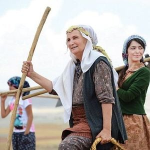 Fotoğraf Yılanların Öcü