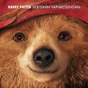 Fotoğraf Ayı Paddington