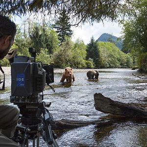 Fotoğraf Bears