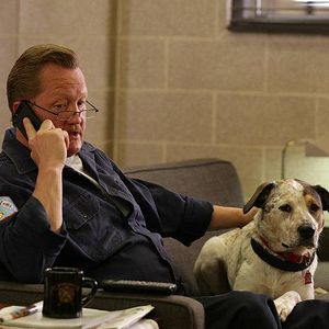 Fotoğraf Christian Stolte