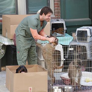 Fotoğraf Ike Barinholtz