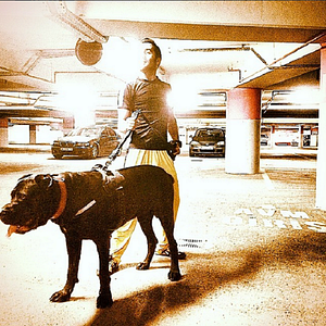 Fotoğraf Olur Olur!