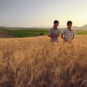 Fotoğraf Biz Babasız Büyüdük