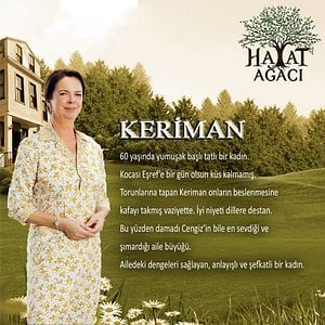 Fotoğraf Hayat Ağacı