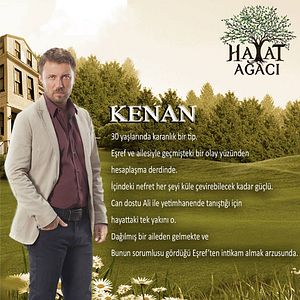 Fotoğraf Hayat Ağacı