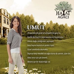 Fotoğraf Hayat Ağacı