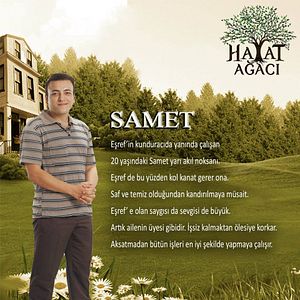 Fotoğraf Hayat Ağacı