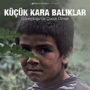 Fotoğraf Küçük Kara Balıklar
