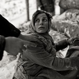 Fotoğraf Laura Peterson