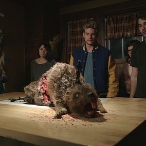Fotoğraf Zombeavers