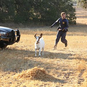 Fotoğraf T.J. Thyne