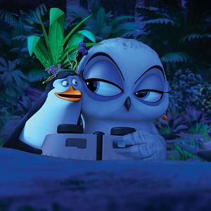 Fotoğraf Madagaskar Penguenleri