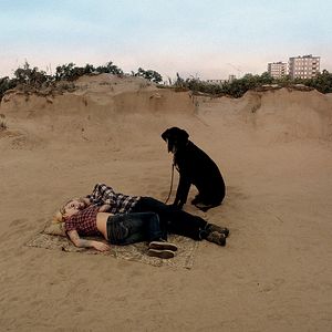 Fotoğraf İnsanları Seyreden Güvercin