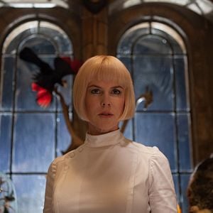 Fotoğraf Ayı Paddington